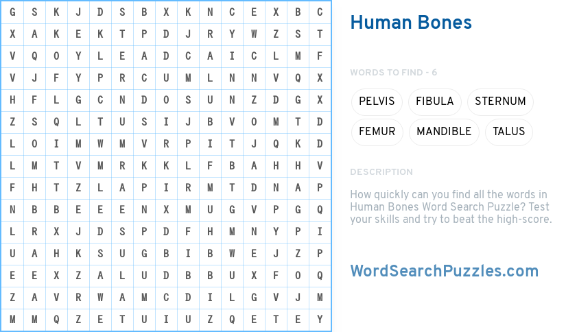 human-bones-word-search-puzzle-wordsearchpuzzles